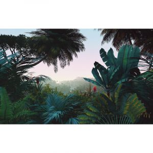 Komar Papier peint panoramique modern Matin de Jungle