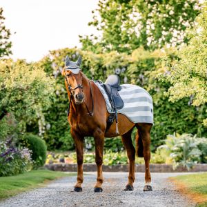Couvre-reins pour cheval Horseware Newmarket