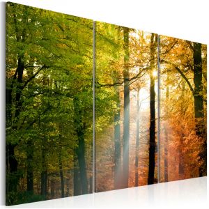 Artgeist Tableau - Forêt d'automne - 90x60