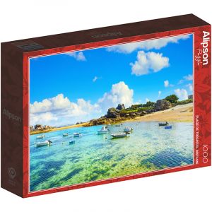 Puzzle de 1000 pièces Alipson Puzzle Plage Tregastel