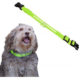 Dutchwide Collier lumineux pour chien - Extra fort - L 41 cm &agrave; 52 cm - Collier pour chien - Collier &agrave; mousqueton - Ajustable - R&eacute;fl&eacute;chissant