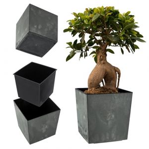 Pot de Fleur Pot de Fleur 30 cm Couvercle avec Insert Support de Fleur en Plastique Noir - Kadax