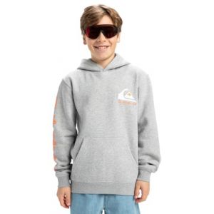 Quiksilver Pull en Polaire Omni Logo Hoodie Youth Gris 10