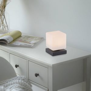 Paul neuhaus Dadoa Lampe de table LED avec variateur, 4036-13,