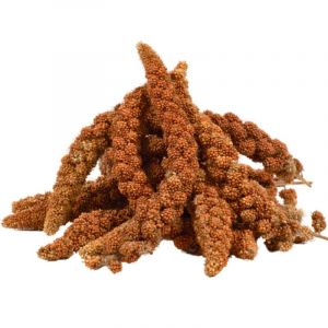 3 kg de millet rouge Lyra Pet