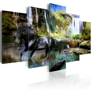 Artgeist Tableau - Cheval noir sur fond de Cascade Paradis 100x50