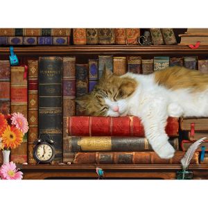 Image de Eurographics Puzzle 500 pièces : La sieste du chat