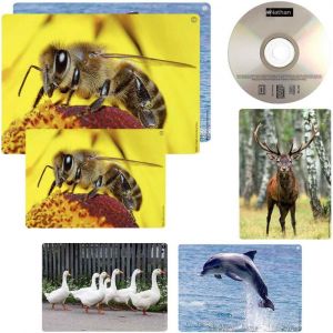 Image de Nathan Imagier sonore des animaux