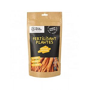 Terra Fertilis - Fertilisant Plantes spécial Potager - à base de Biochar Mycorhizé - Stimule la production et améliore la résistance des légumes - Réduit les besoins en arrosage et en engrais - 250 g