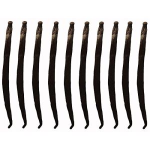Bâtons de vanille Bourbon de Madagascar 10 pièces frais longs 15 cm+