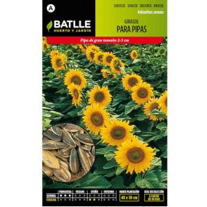 Batlle Graines De Tournesol Pour Tuyaux