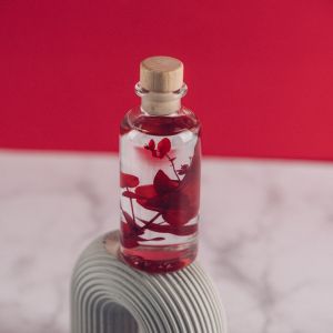 Th&eacute;ophile Berthon Plante immerg&eacute;e Eucalyptus rouge H12