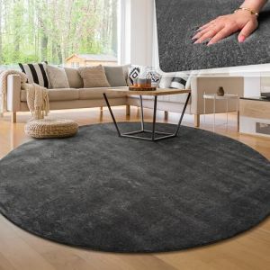 Image de Paco Home - Tapis de salon Unicolore Lavable Pile courte et douce Anthracite, 80 cm rond