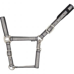 Licol pour cheval Catago