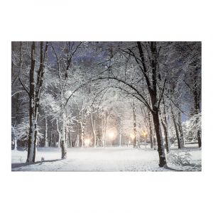 Lumineo Panneau Led Paysage Enneigé 58x1,5x38cm 6 Leds 2 Modèles Assortis