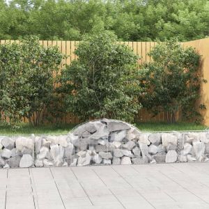 VidaXL Paniers à gabions arqués 11 pcs 200x30x40/60 cm Fer galvanisé n/a