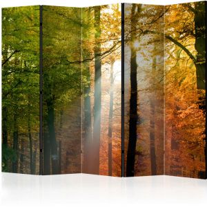 Artgeist Paravent 5 Volets "Forest Colours" 172x225cm