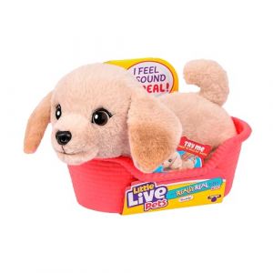 Moose Toys Little Live Pets My Really Real Puppy Minis – Buddy Le Labrador, Chiot interactif avec + de 20 Sons et réactions, Inclut Un Panier pour Exposer Ton Chiot, Cadeau Amusant et Mignon pour Enfants, 11 cm