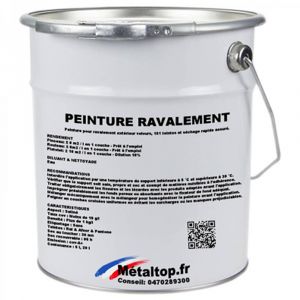 Peinture Ravalement - Rouge framboise - RAL 3027 - Pot 1L