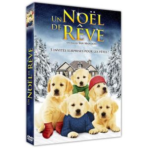 Un Noël de rêve