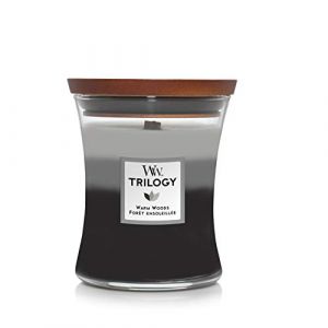 Woodwick Trilogy bougie jarre moyenne parfumée avec mèche Pluswick, Forêt ensoleillée