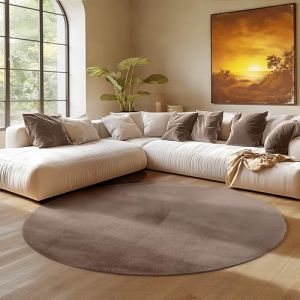 Tapis SIMPEX Rond 120 cm Poils Courts Lavable Doucement Antidérapant et Design Moderne pour Salon Chambre Marron