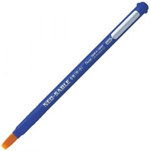 Pentel ZBNF-6 Boîte de 10 Pinceaux poils avec Manche Imputrescible