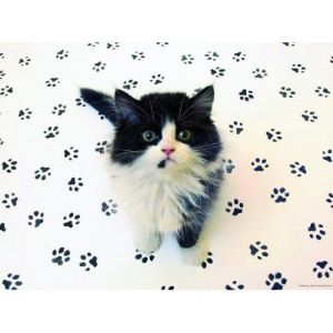 Nathan Puzzle Empreintes félines 500 pièces