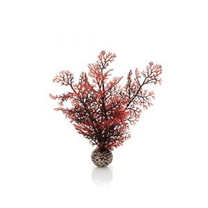 Biorb Corail corné S rouge foncé