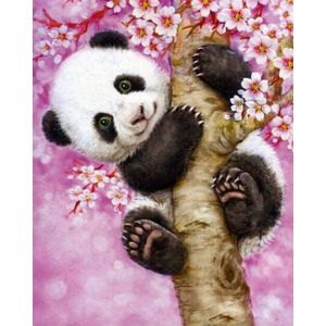 Figured'Art Peinture par Numéro Adulte avec Cadre Bébé Panda - Activité Manuelle Kit de Loisir Créatif DIY Numéro d'Art Complet - 40x50cm toile tendue sur châssis