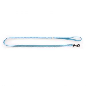 Martin Sellier Laisse pour chien nylon Safety