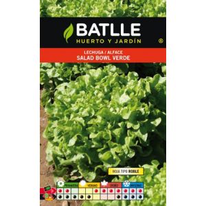 Image de Batlle Laitue Bowl (Feuille De Che?ne, Verte)