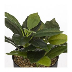 Plante Artificielle en Pot "Cosy" 20cm Noir & Vert Prix