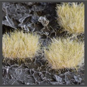 Touffes Gamers Grass Winter