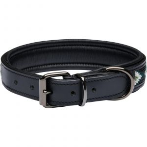 Collier pour chien Catago Viben