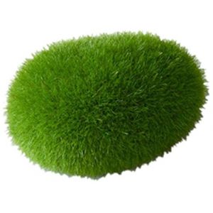 Aqua della Autres décorations EBI Balle de Mousse