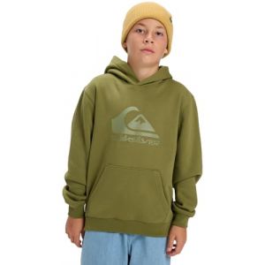 Quiksilver Sweat à capuche Comp Logo vert pistache pour enfant - 12