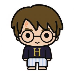 Warner Coussin Forme Harry Potter