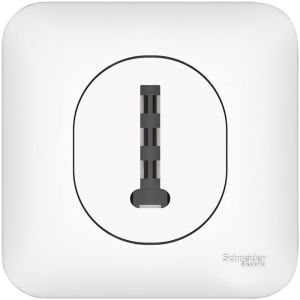 Schneider Electric Conjucteur Telephone Schneider Ovalis Prise T 8P + Plaque