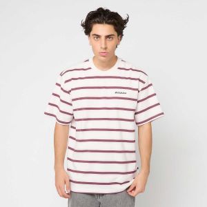 Dickies T-shirt york stripe ss homme blanc/marron