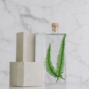 Th&eacute;ophile Berthon Plante immerg&eacute;e Foug&egrave;re montagnes H26