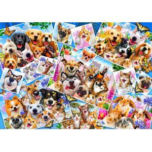 Bluebird Puzzle Selfie Pet Collage