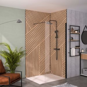 Kinedo Paroi de douche transparent Solo 6+ 90cm profilé Noir mat