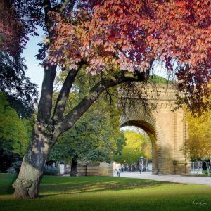 Artis Toile 45x45 Porte serpenoise Metz