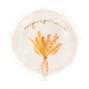 Ruedelafete Ballon mylar Un Jour Précieux rond 43cm