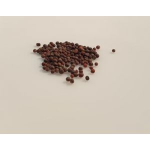 100 graines à semer - Le Grenier d' Abondance - CHOU Fleur Romanesco - Brassica oleracea