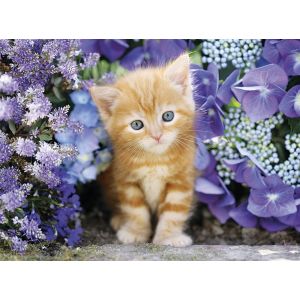 Clementoni Chaton roux au milieu des fleurs - Puzzle 500 pièces