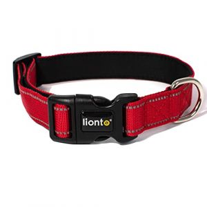 Lionto verstellbares Hundehalsband