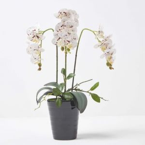 Orchid&eacute;e artificielle blanche en pot en c&eacute;ramique noir 56 cm - Homescapes