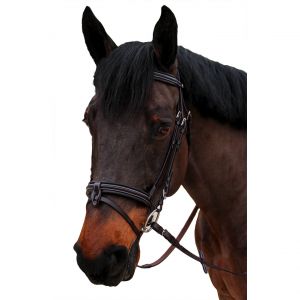 Bridon &eacute;quitation muserolle combin&eacute;e Canter Nino